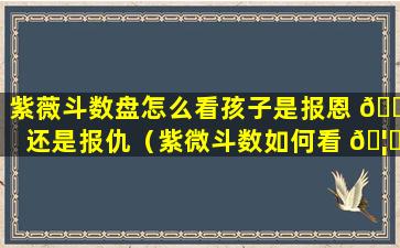 紫薇斗数盘怎么看孩子是报恩 🐺 还是报仇（紫微斗数如何看 🦅 子女数量和性别）